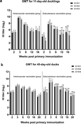 china duck flavivirus disease|Immunogenicity and protective efficacy of an EB66 .